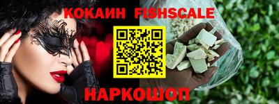 крисы Можга