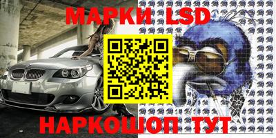 крисы Можга