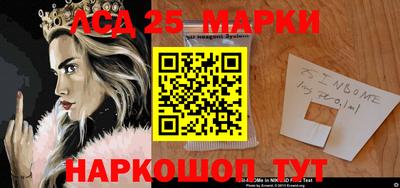 крисы Можга