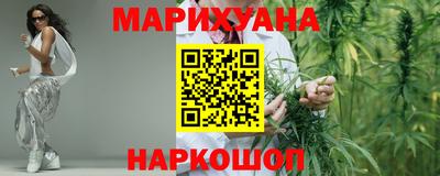 крисы Можга
