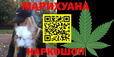 крисы Можга