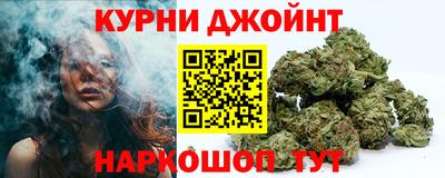 крисы Можга