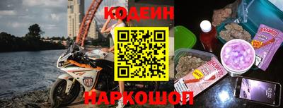 крисы Можга