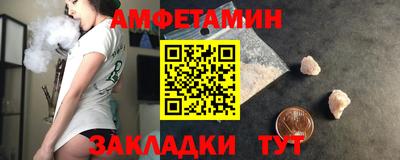 крисы Можга