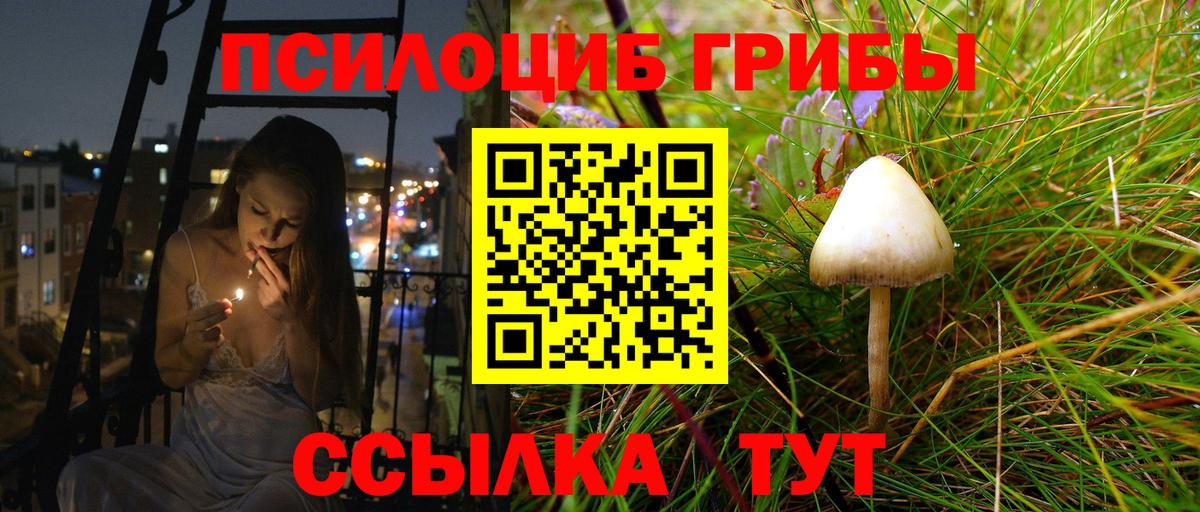 Псилоцибиновые грибы Psilocybe  Вход с VPN  Славянск-на-Кубани  Галлюциногенные грибы Psilocybe 